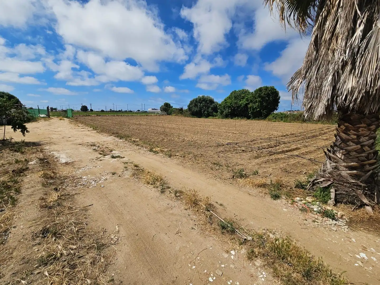 Rustikales Grundstück zum Verkauf in Malgrat de Mar, imagen 16