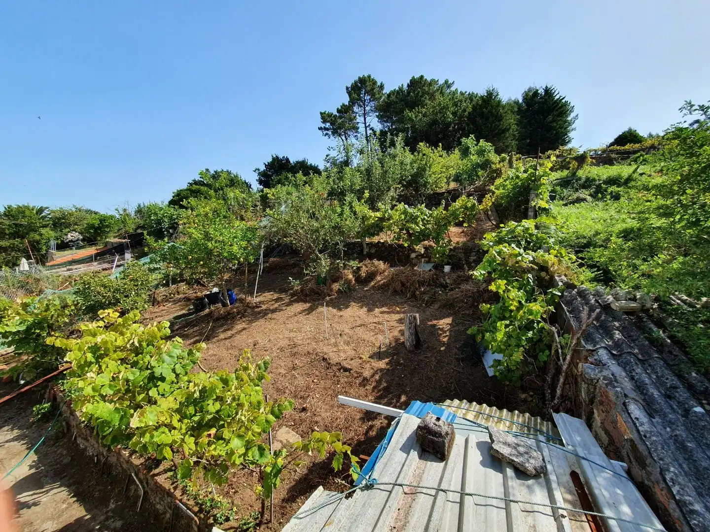 Casa amb jardí en venda a O Carril, imagen 2