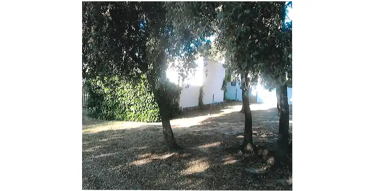 Terreni e lotti in vendita a Marugán, imagen 16