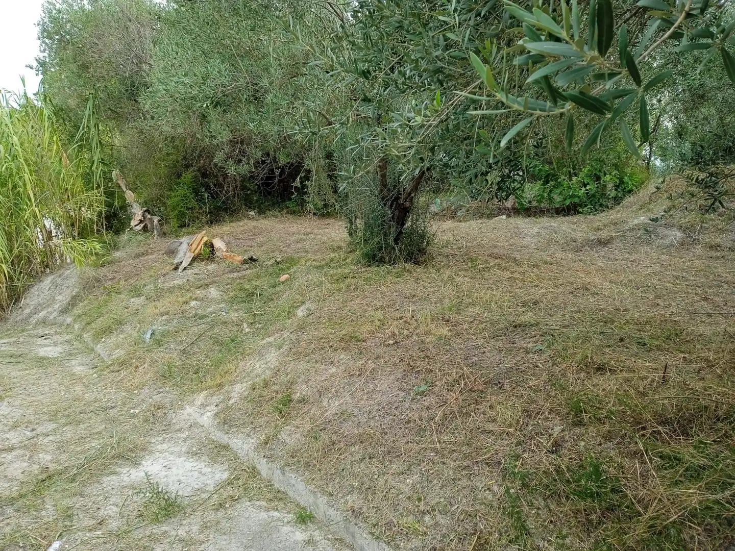 Terreno residencial en venta en Xàtiva, imagen 6