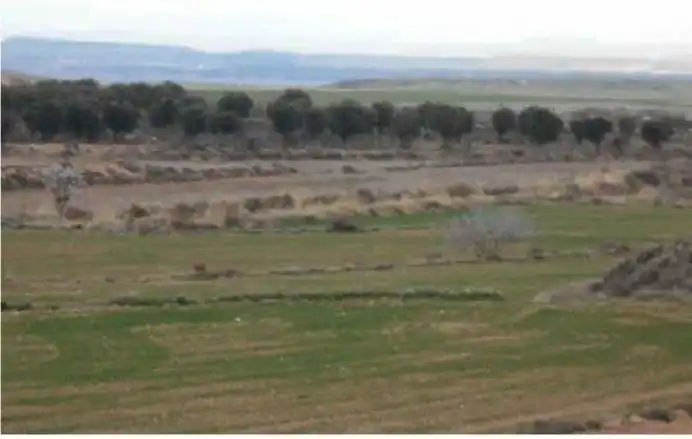 Terreno rustico in vendita a Borja, imagen 3