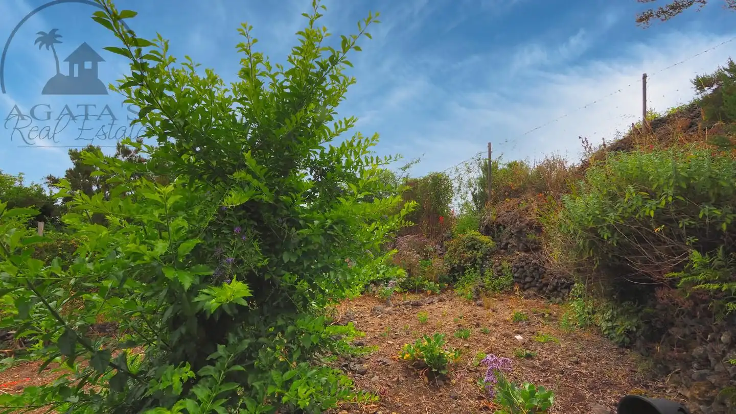 Casa con jardín en venta en La Vega - El Amparo - Cueva del Viento, imagen 46
