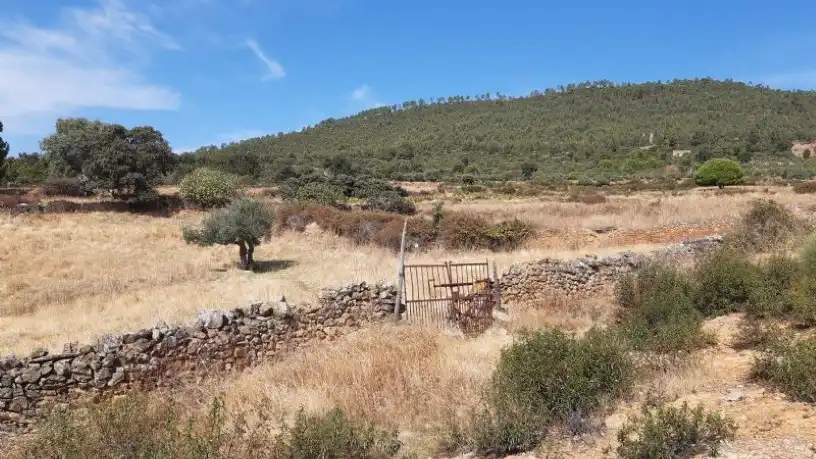 Terreny rústic en venda a Calle Granadilla, imagen 4
