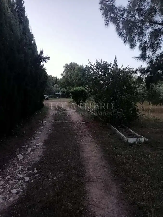Villa à vendre à Centro, imagen 21