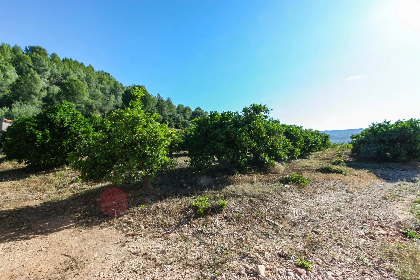 Wohnbaugrundstück zum Verkauf in Sagra, imagen 3