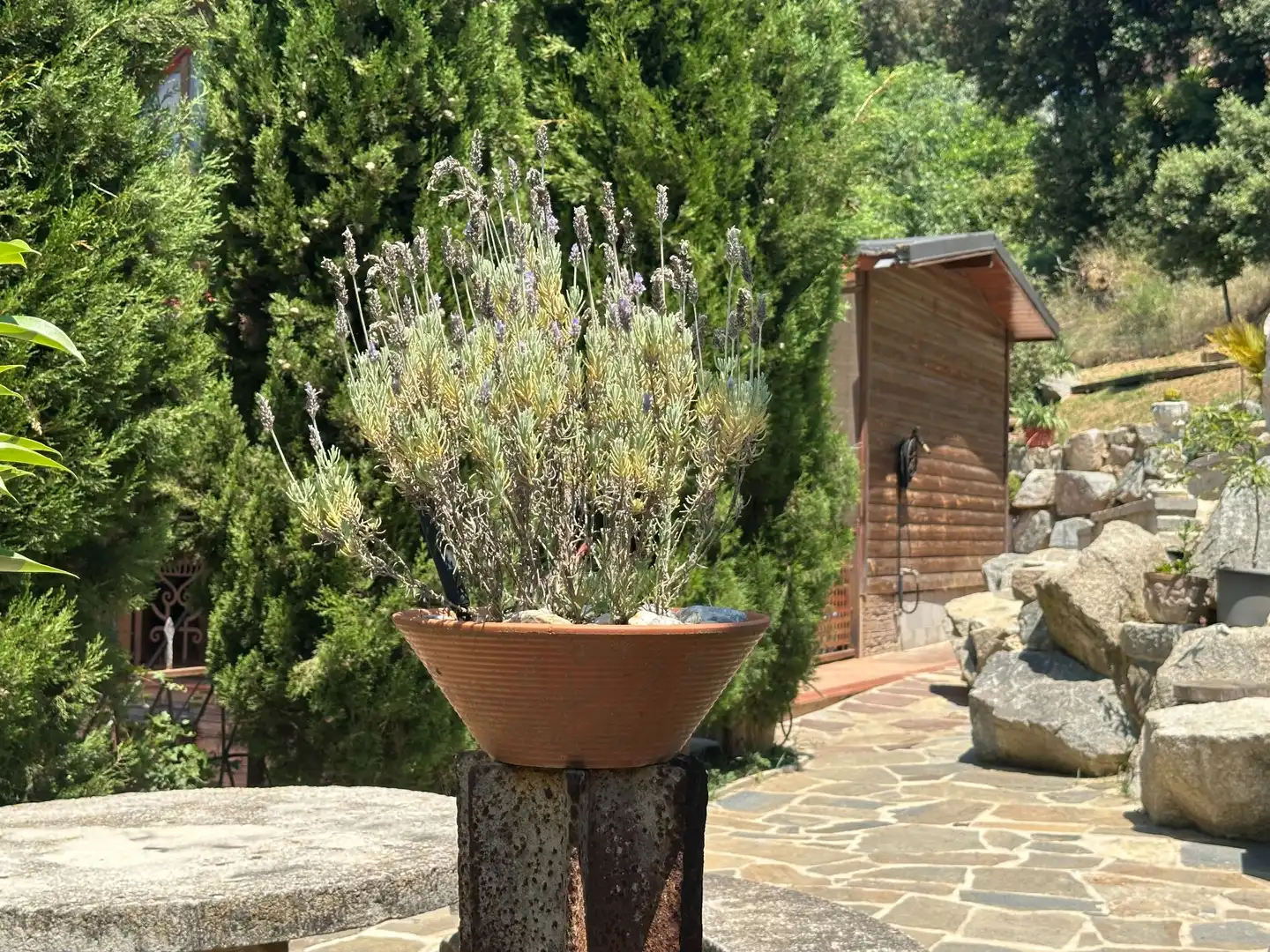 Jardín de Casa o chalet en venta en Santa Maria de Palautordera con Calefacción, Jardín privado y Trastero