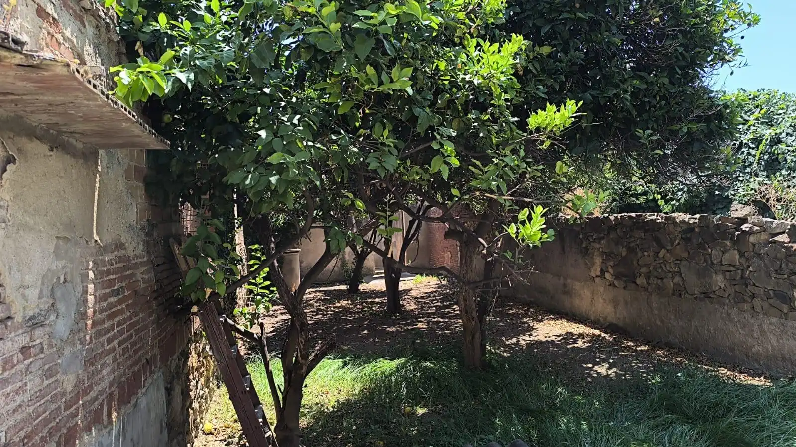 Garten von Residential zum Verkauf in Pineda de Mar