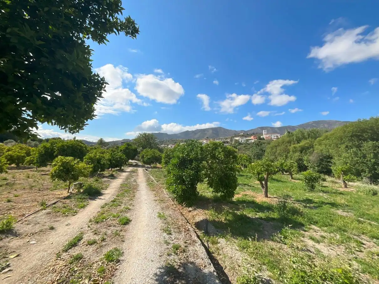 Terreni e lotti in vendita a Andalucia, imagen 10