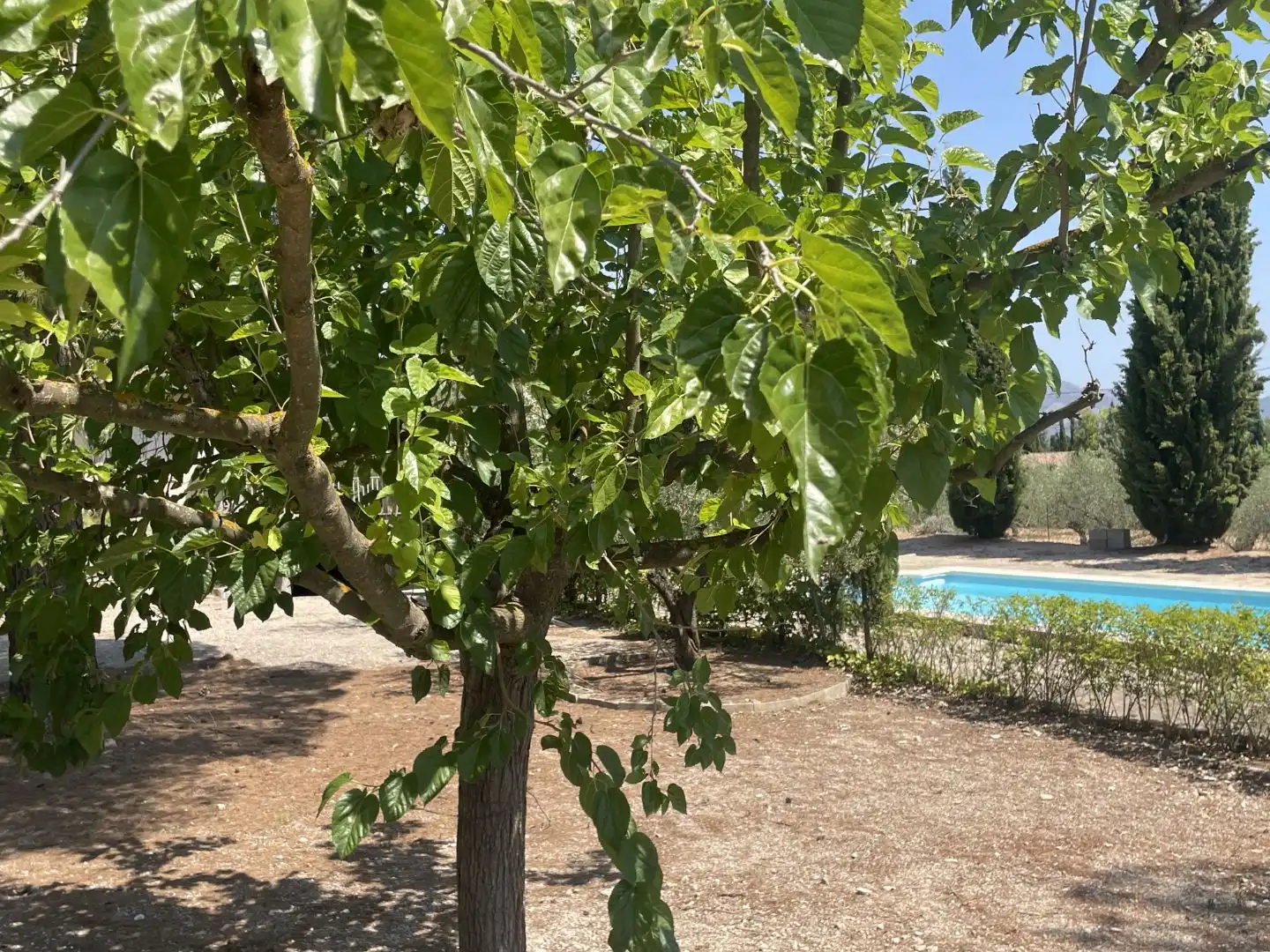 Casa o xalet en venda en Cocentaina amb Aire condicionat, Terrassa i Piscina