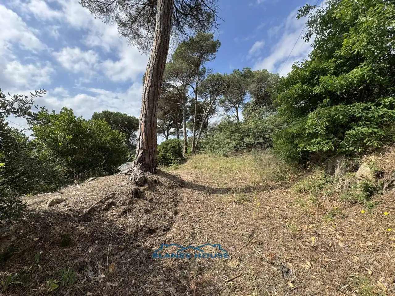 Residential land for sale in Calle PUIGMAL, imagen 16
