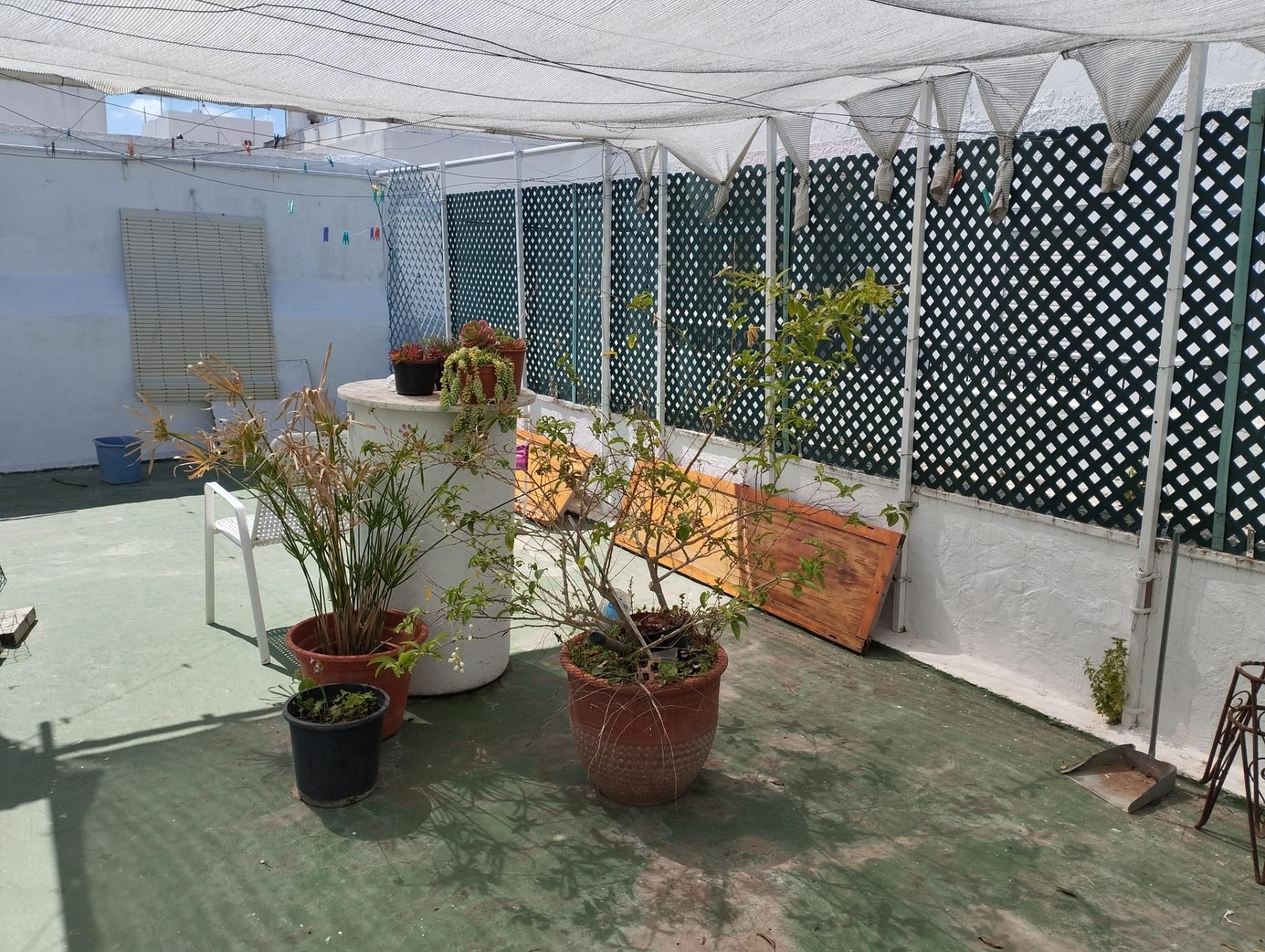 Terrassa de Casa o xalet en venda en San Fernando