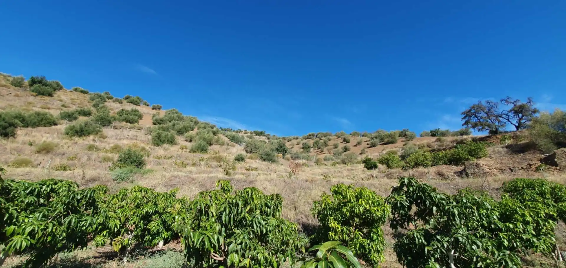 Casa rústica en venda a Totalán, imagen 13