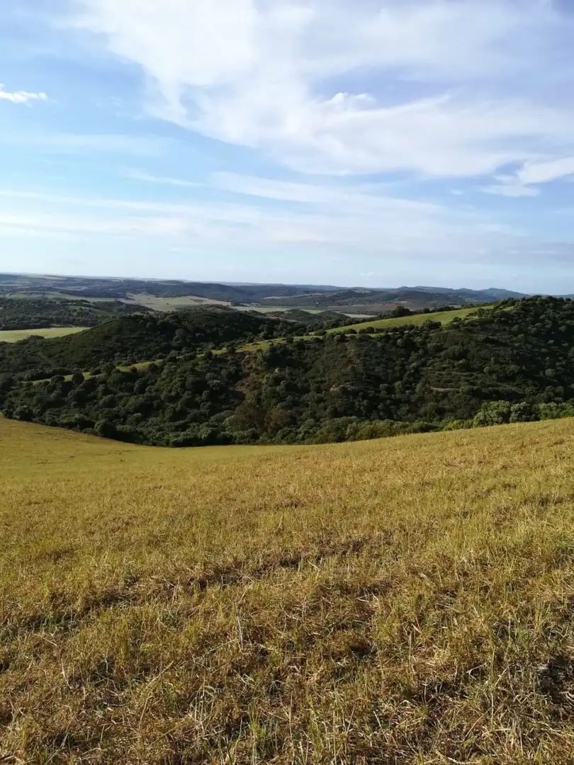 Terrain rustique à vendre à Vejer, imagen 3