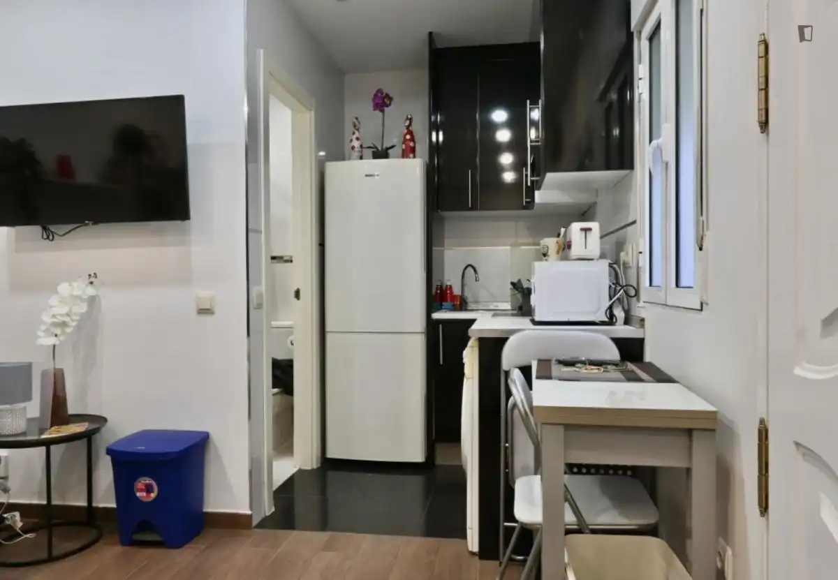 Cuina de Estudi de lloguer en Madrid amb Aire condicionat, Moblat i Forn
