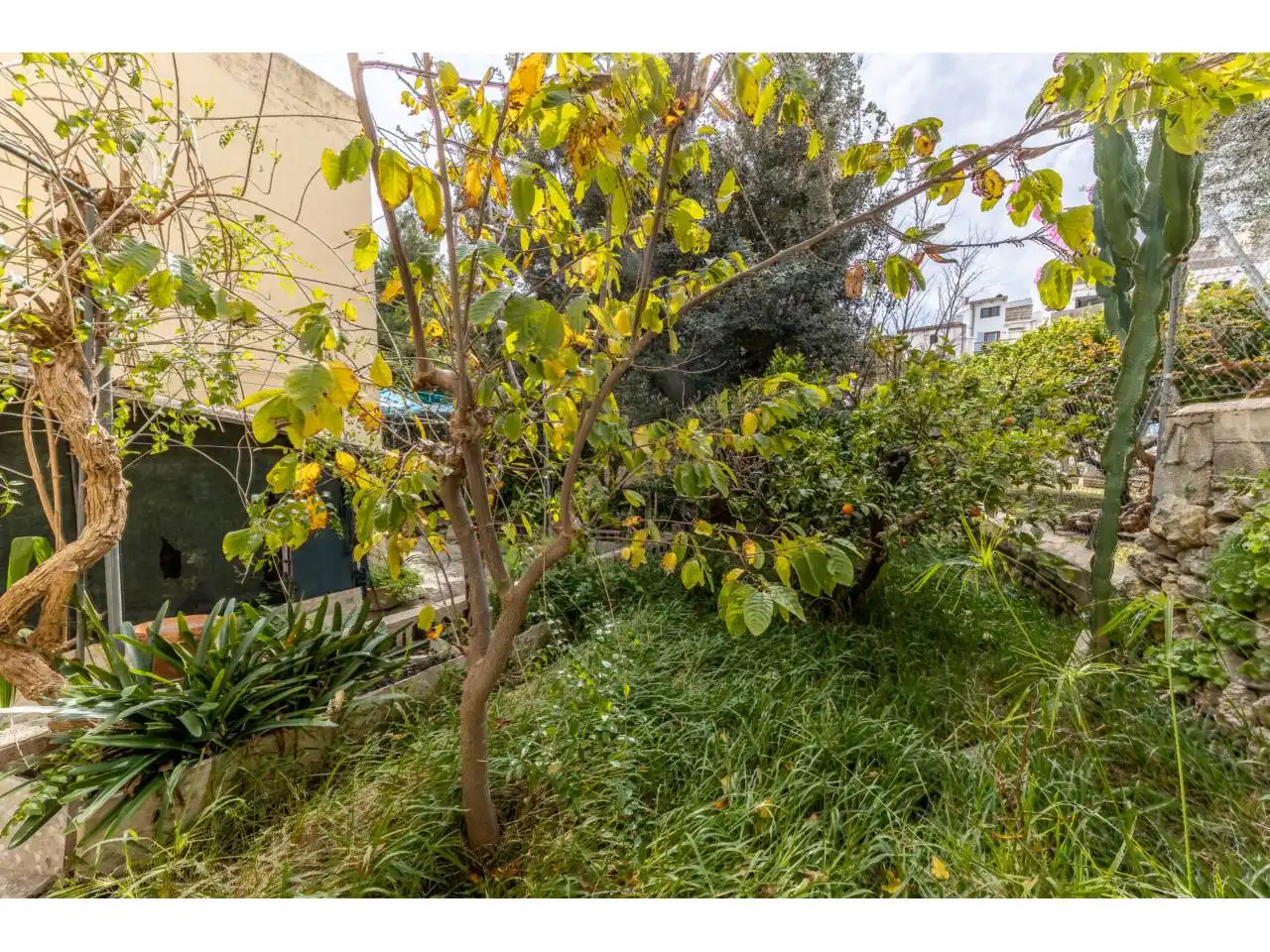 Maison à vendre à Selva, imagen 41