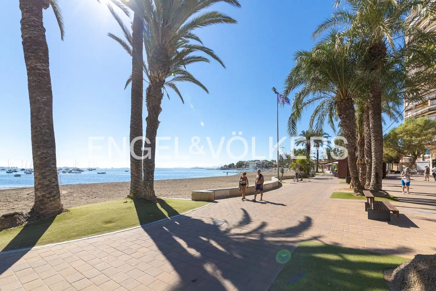 Vista exterior de Casa o chalet en venta en San Pedro del Pinatar con Aire acondicionado, Calefacción y Jardín privado