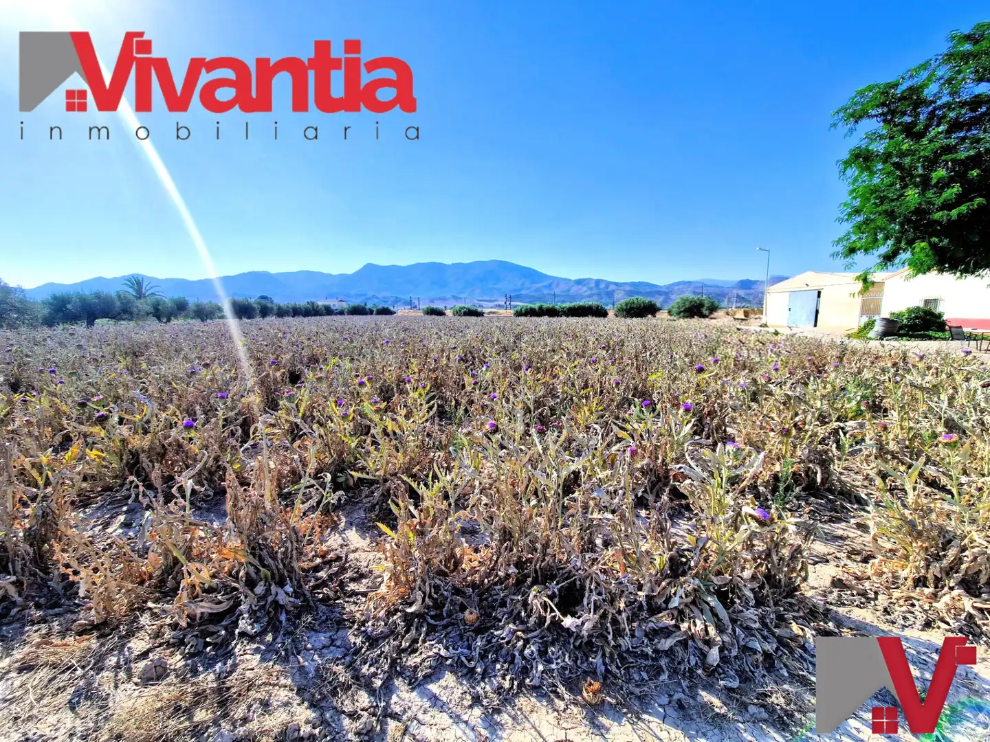Houses for sale in Lorca  with Air Conditioner, Private garden and Terrace