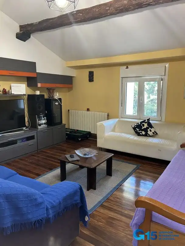 Sala de estar de Piso en venta en Arano, Navarra