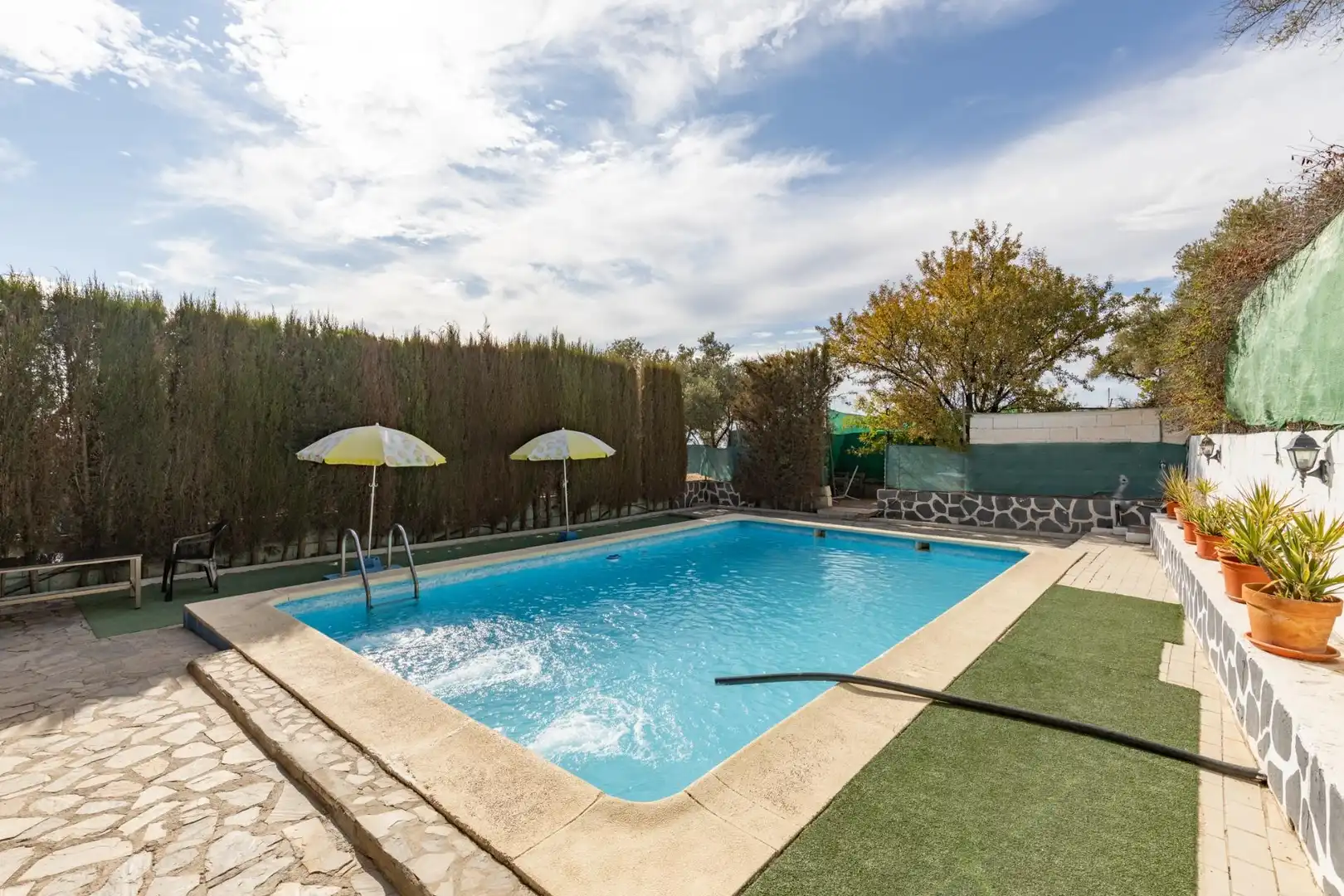 Piscina de Finca rústica en venta en Cogollos de la Vega con Jardín privado y Piscina