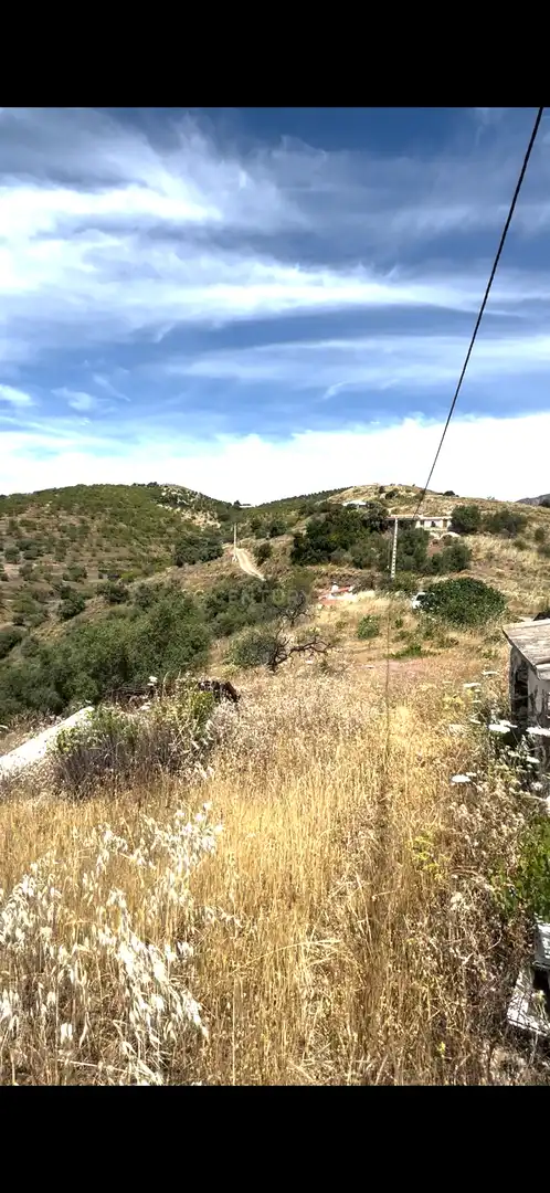 Land for sale in Sedella