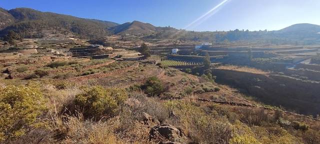 Terreno en Venta en Charco del Pino