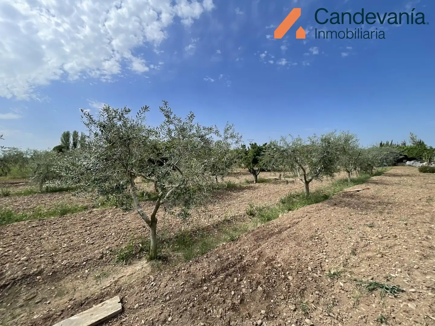 Land for sale in Gurrea de Gállego