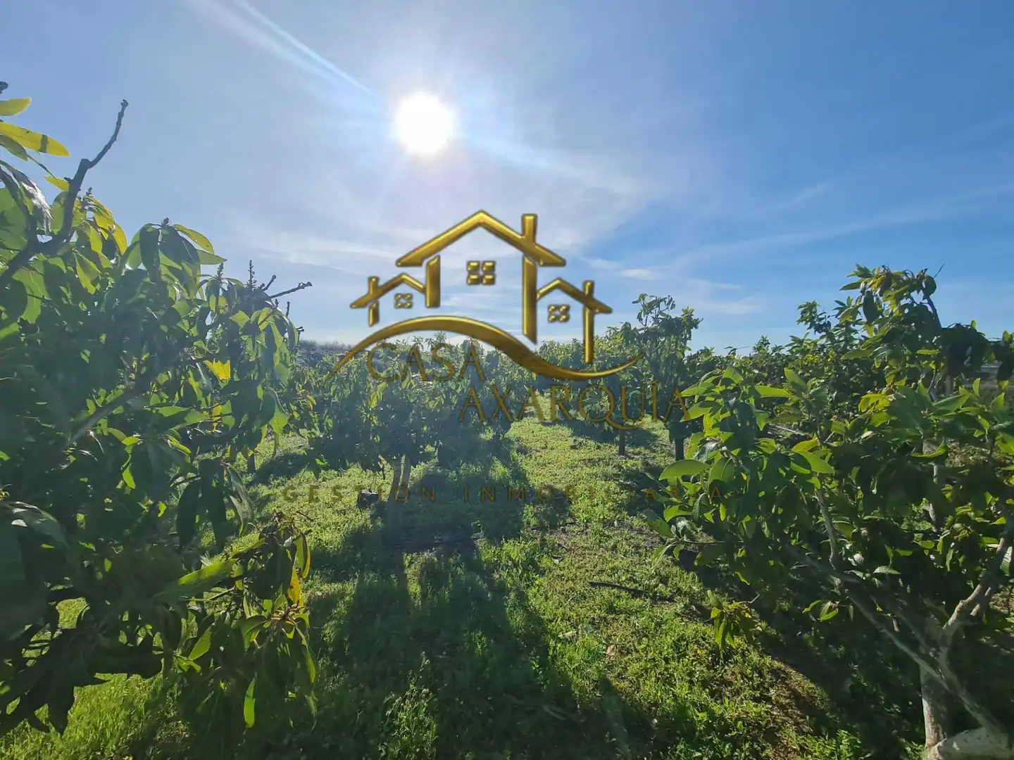 Casa rustica in vendita a Diseminado Atalaya Baja, imagen 45