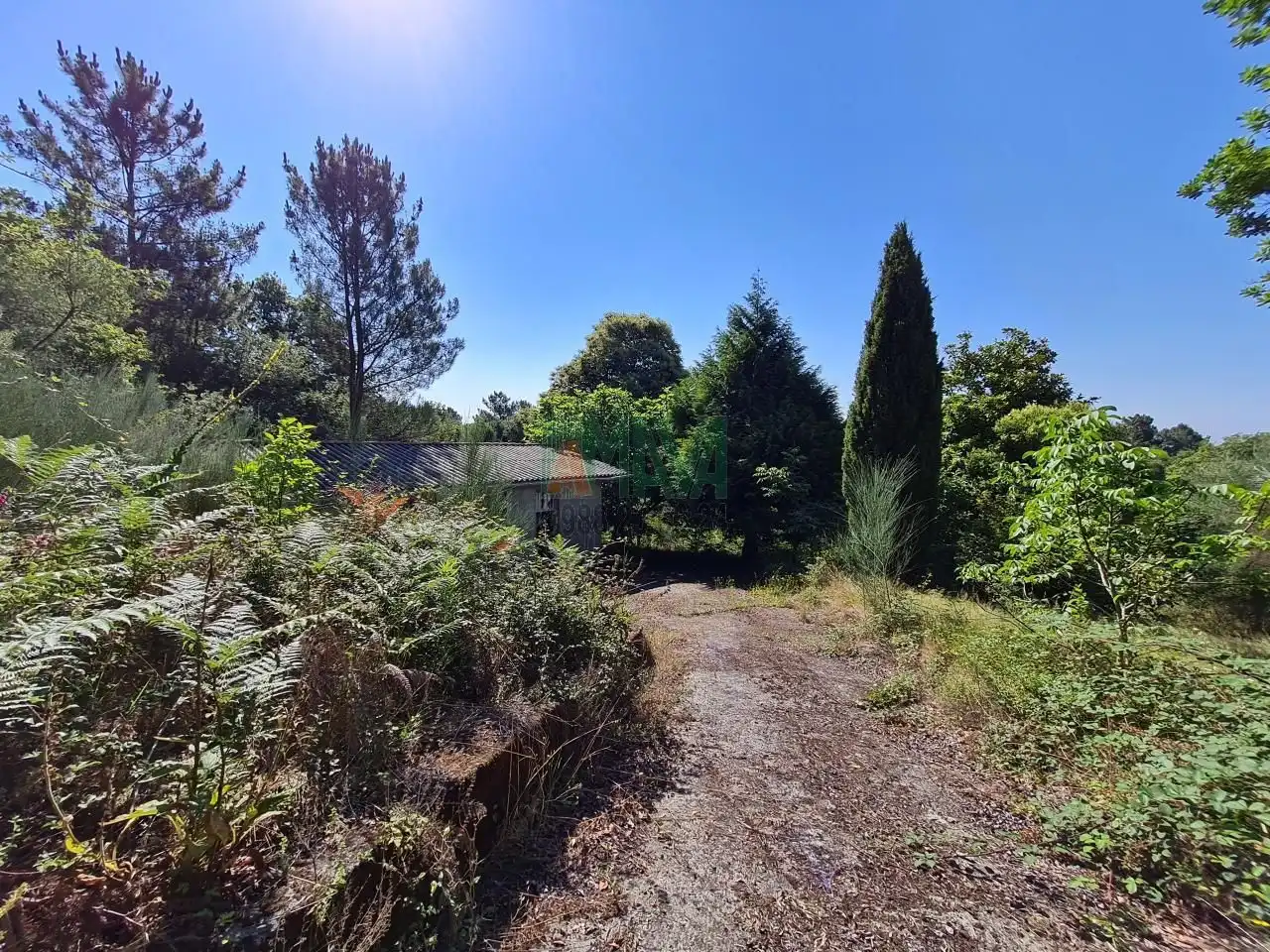 Terreni e lotti in vendita a Coles, imagen 2