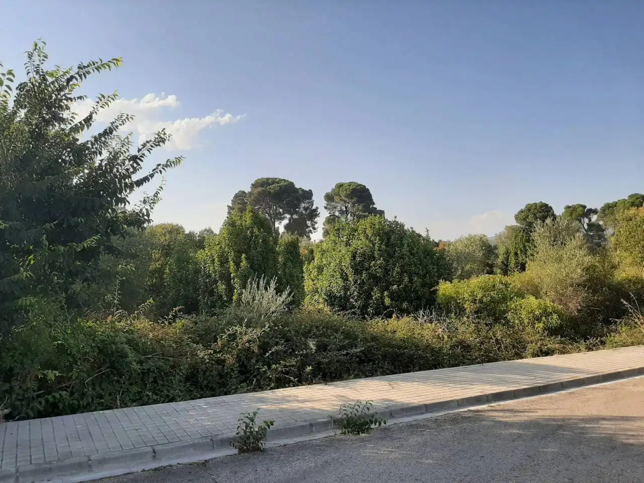 Terreno en venta en Navajas
