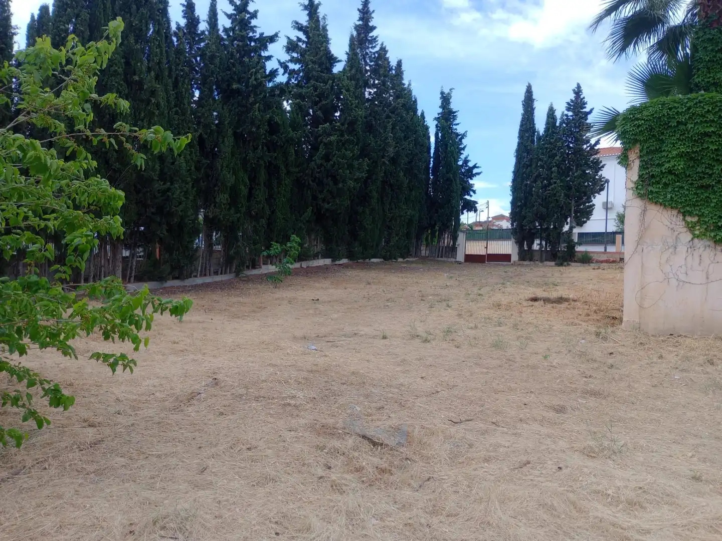 Terreny residencial en venda a Calle GERANEO (VENT) 2, imagen 4