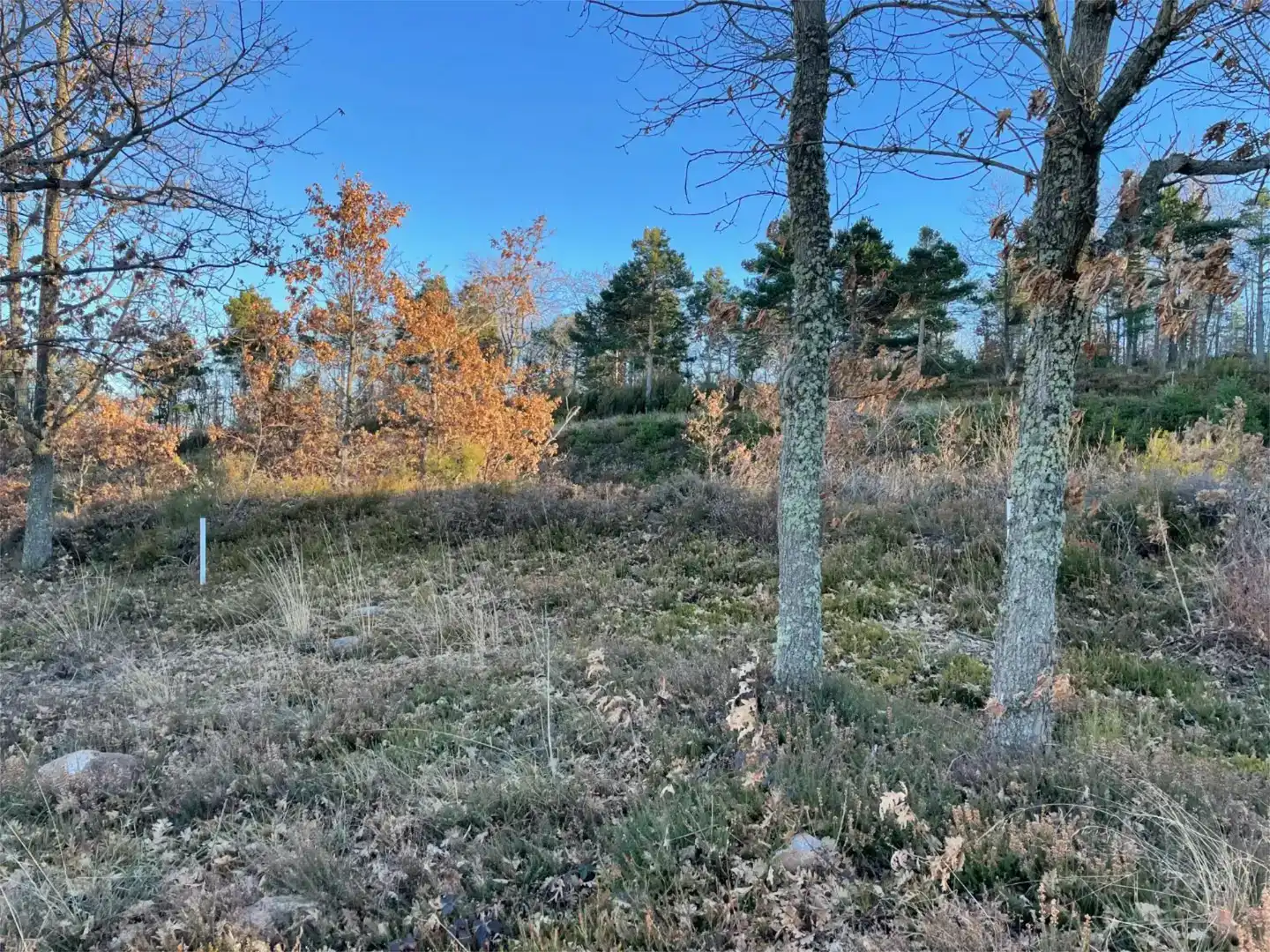 Residencial en venta en Sojuela