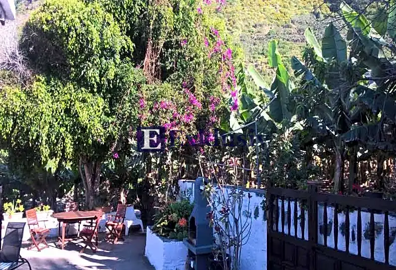 Garten von Country house zum Verkauf in Los Realejos mit Privatgarten und Terrasse