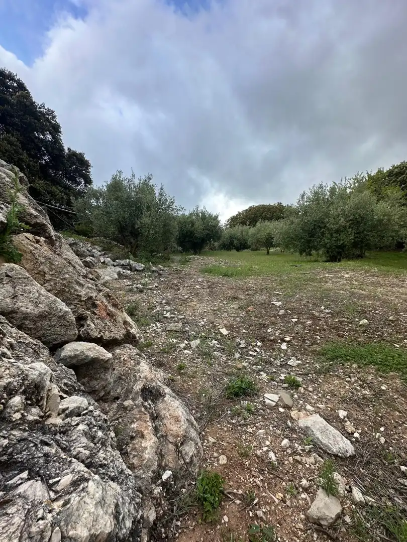 Terreni e lotti in vendita a Alfarnate, imagen 67