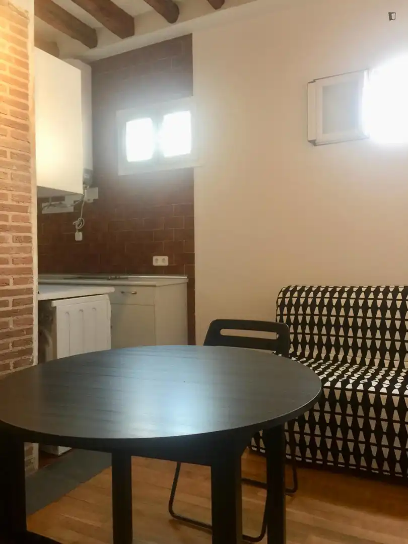 Study for rent in Embajadores - Lavapiés