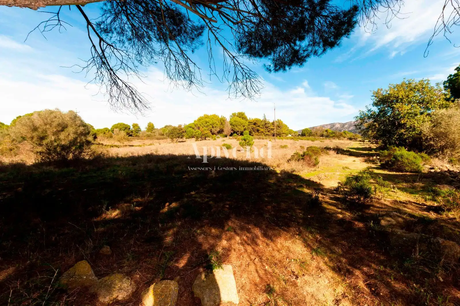 Rural land for sale in Molí de Vent, imagen 14