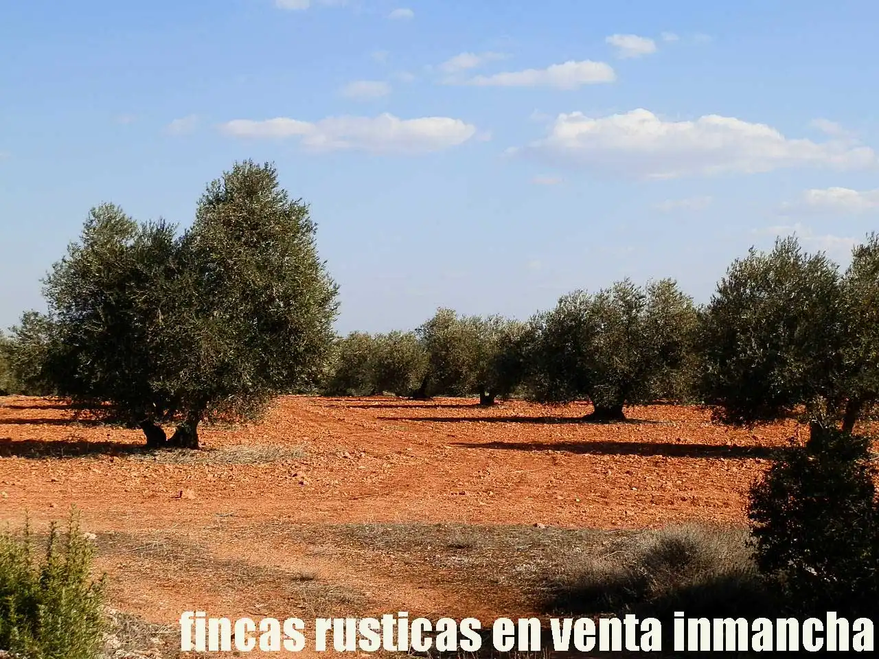 Terreno rustico in vendita a Ruidera, imagen 4
