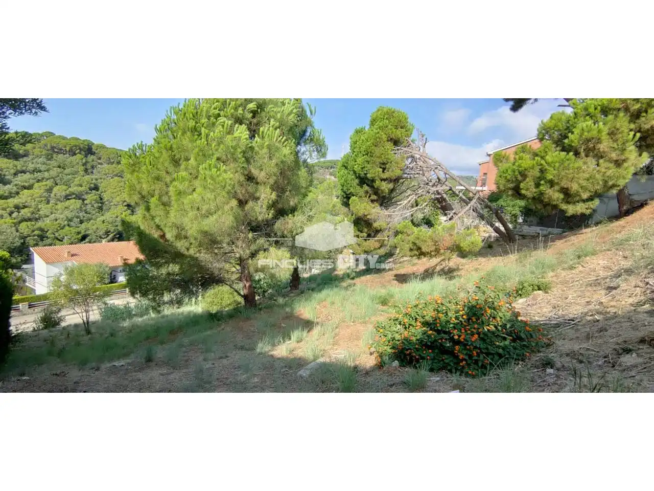 Terreno residencial en venta en Calle Llevante, imagen 6