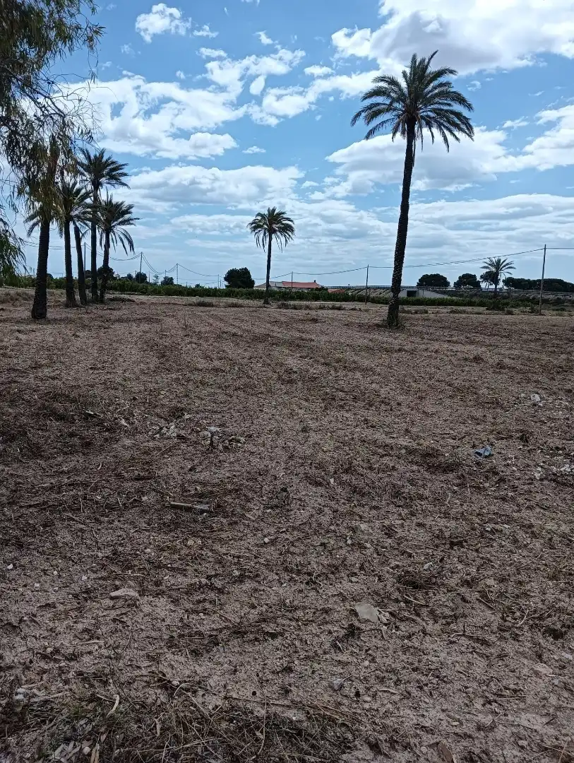 Terreno en venta en Elche / Elx