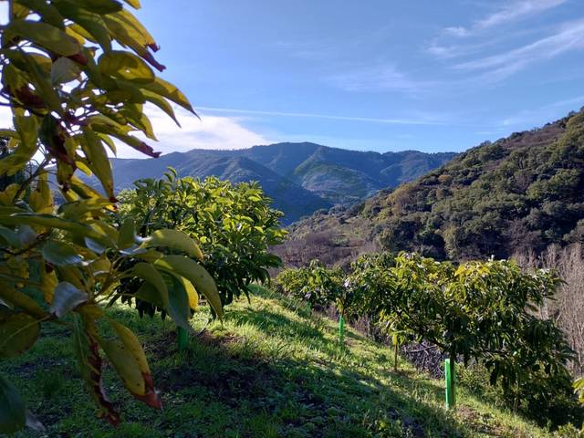 Terreno residencial en Venta en Júzcar