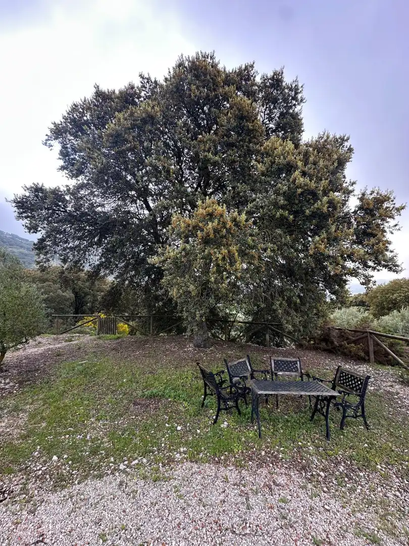 Terreni e lotti in vendita a Alfarnate, imagen 49
