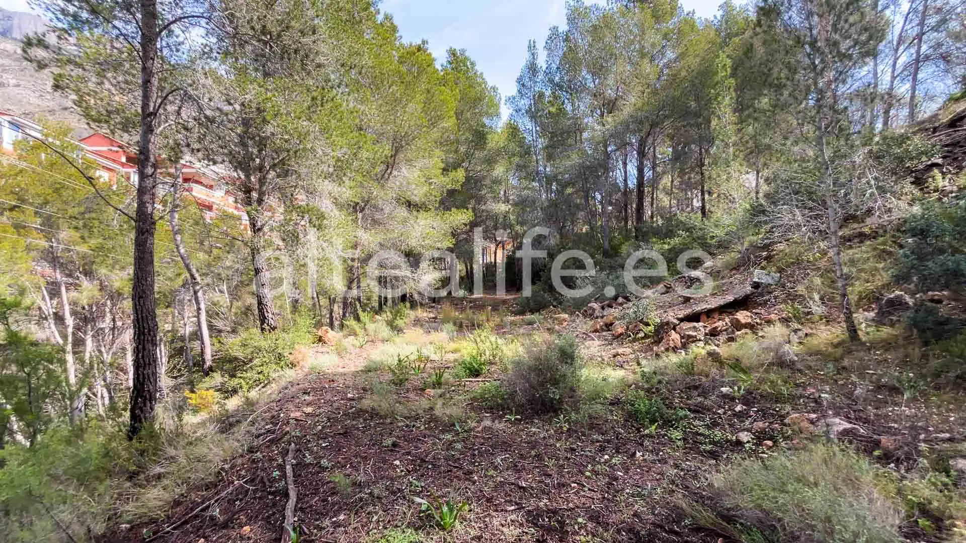 Terreny residencial en venda a Calle Erica, imagen 2