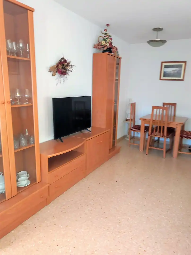 Sala de estar de Apartamento de alquiler en Alicante / Alacant con Aire acondicionado, Calefacción y Terraza