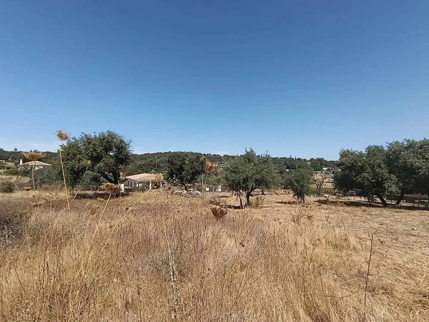 Terreni e lotti in vendita a Castilblanco de los Arroyos, imagen 12