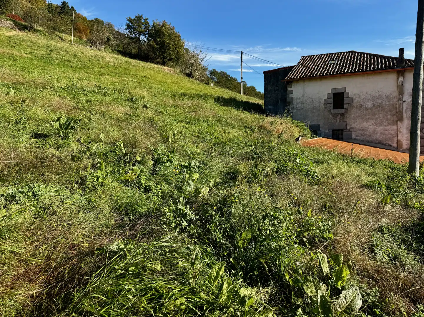 Terreno en venta en Miera