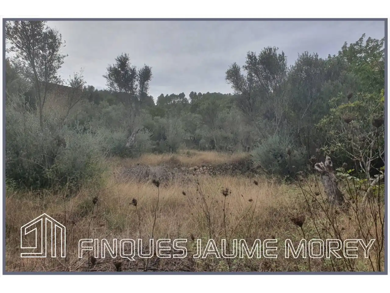 Finca rústica en venda en Selva amb Jardí privat