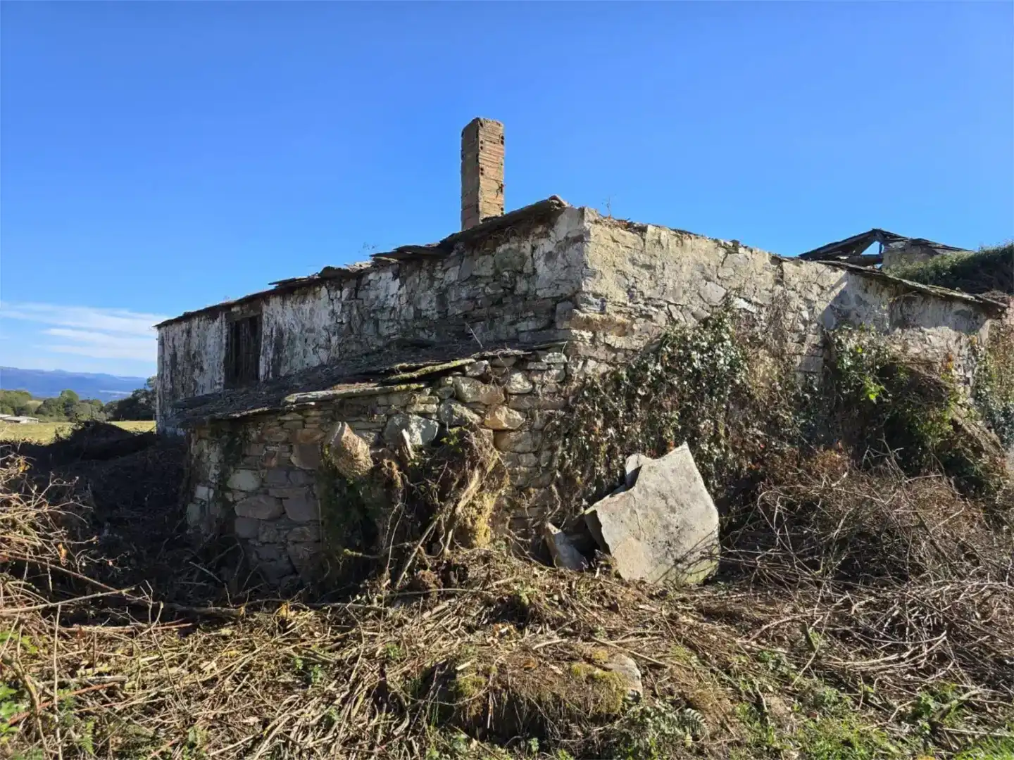 Vista exterior de Casa o xalet en venda en Paradela amb Jardí privat