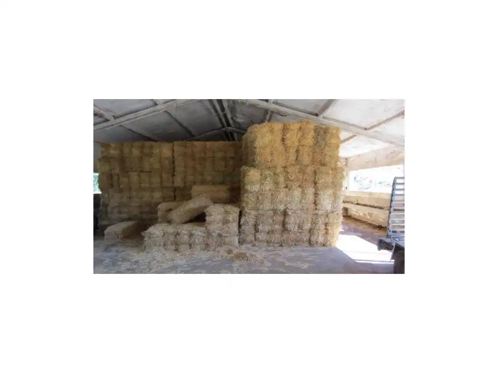 Exterior view of Houses for sale in Alpandeire