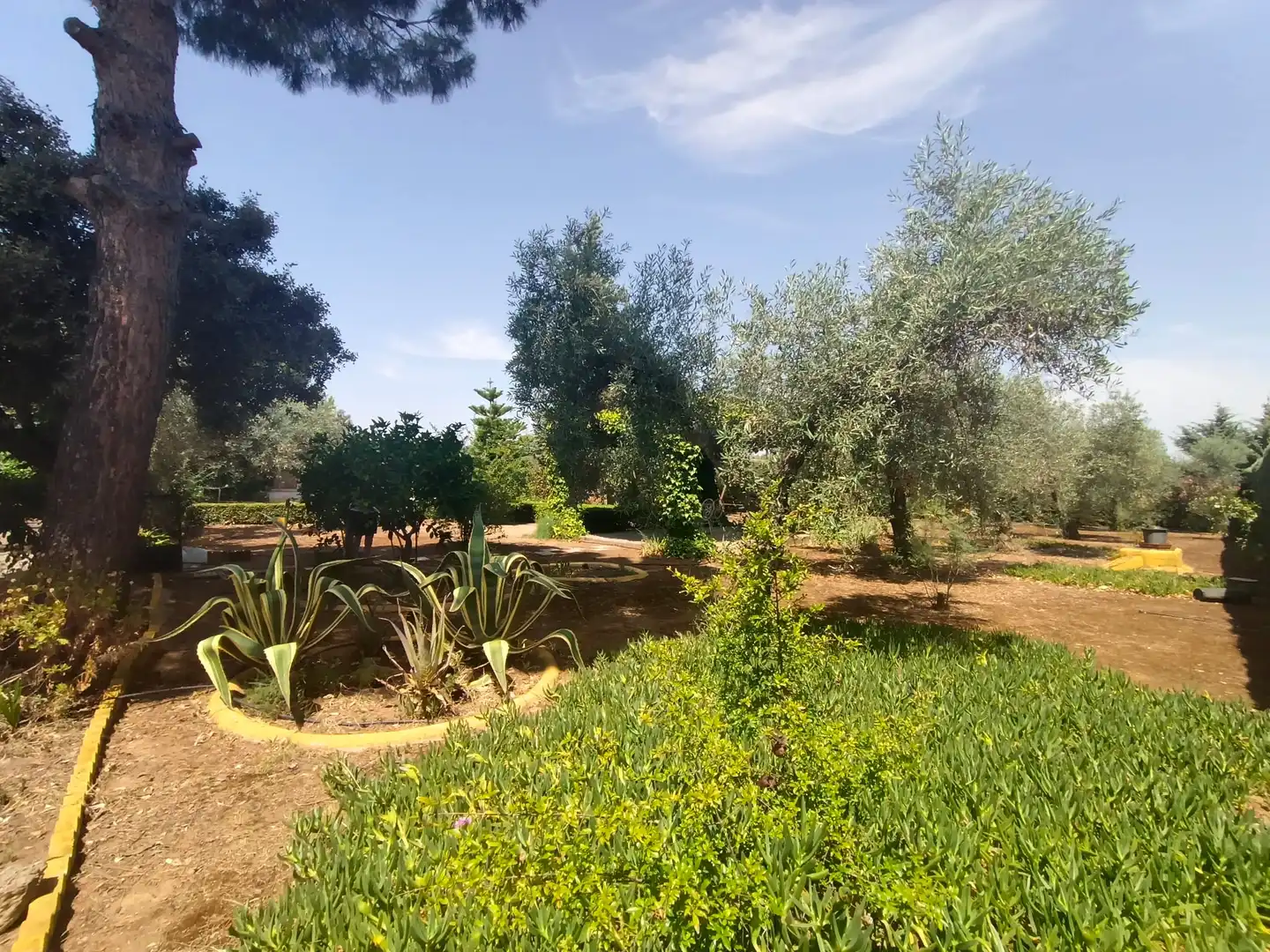 Finca rústica en venda a Cristina