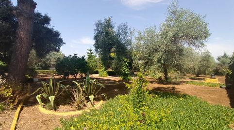 Foto 5 de Finca rústica en venda a Cristina, Badajoz