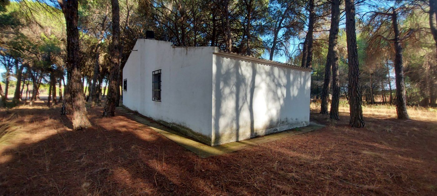 Vista exterior de Finca rústica en venda en Fuensanta